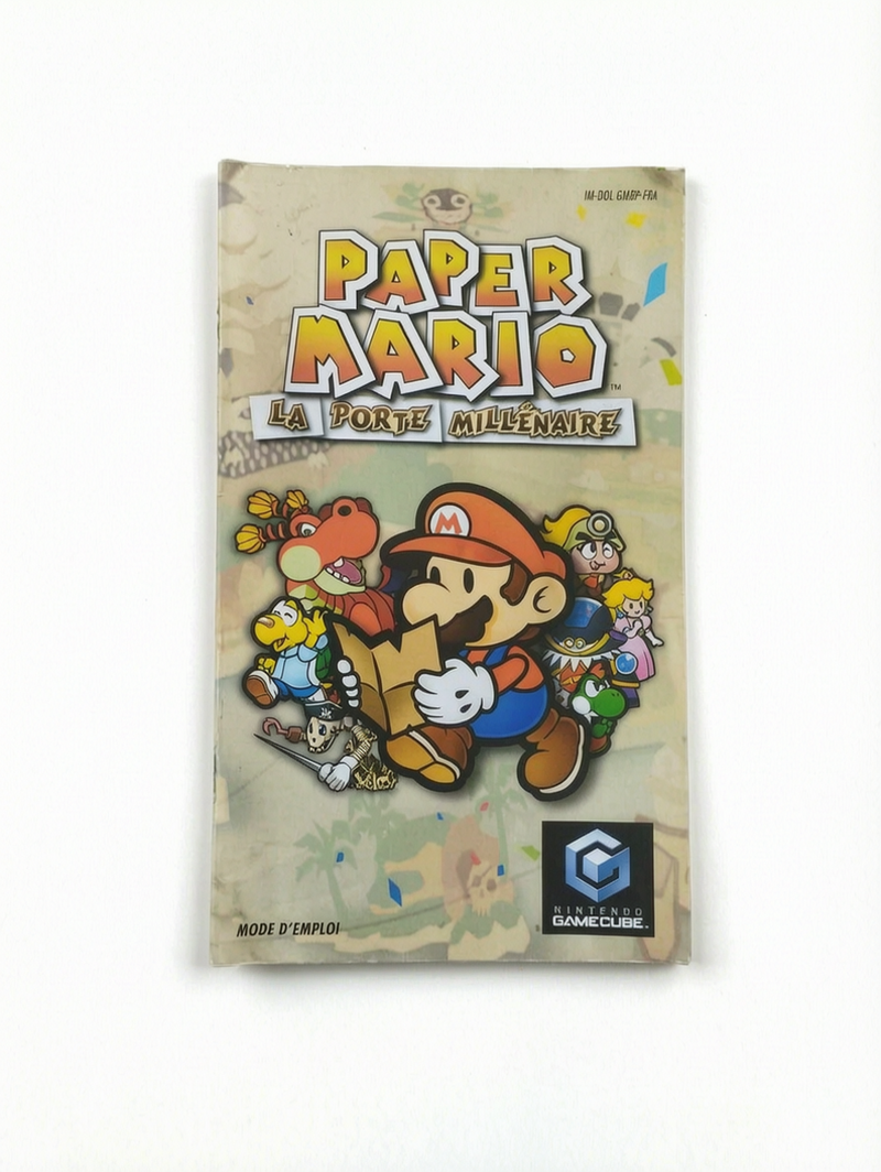 Notice Paper Mario : La Porte Millénaire