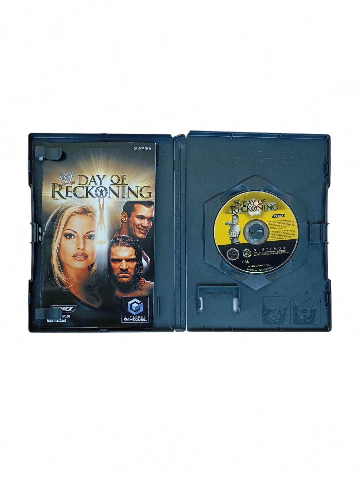 WWE Day of Reckoning