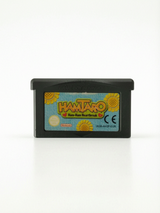 Hamtaro : Ham-Ham Heartbreak