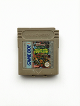 Teenage Mutant Ninja Turtles : Fall of the Foot Clan