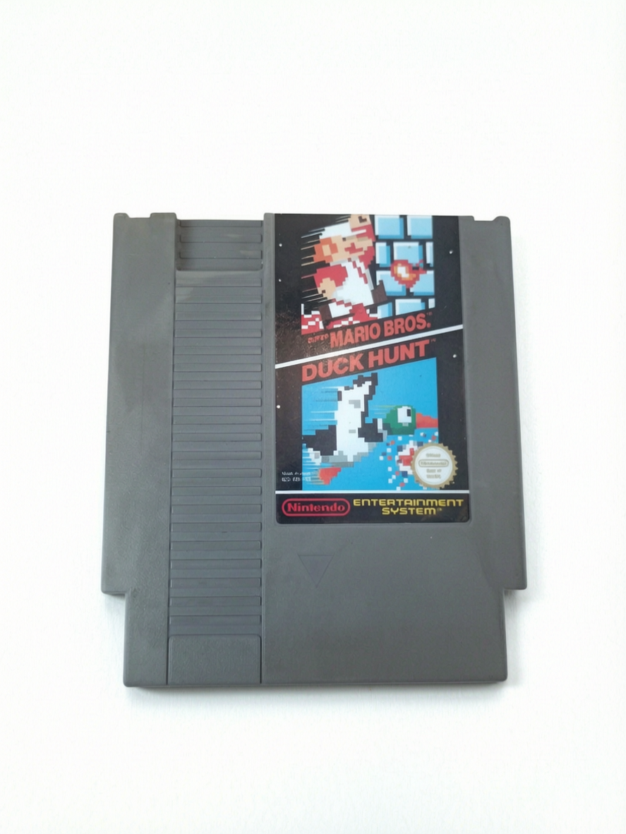 Super Mario Bros : Duck Hunt