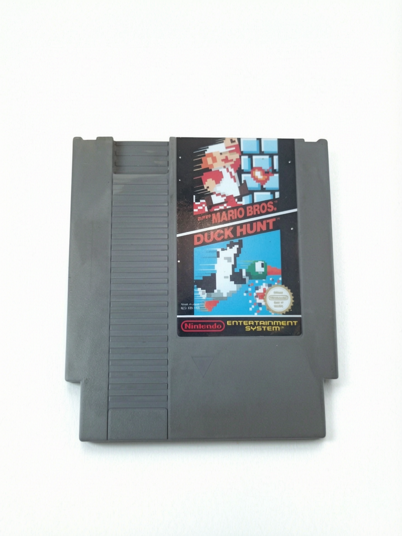 Super Mario Bros : Duck Hunt