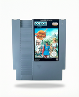 The Legend of Prince Valiant  NES