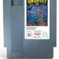 Gauntlet NES