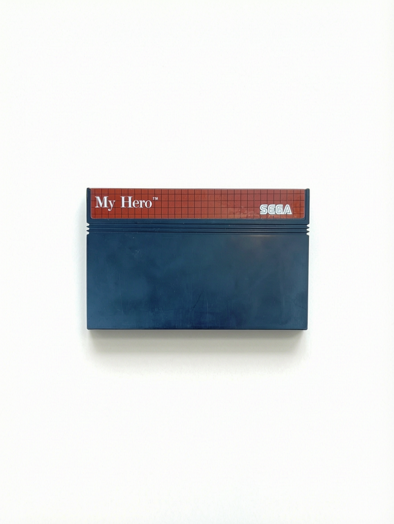 My Hero Master System