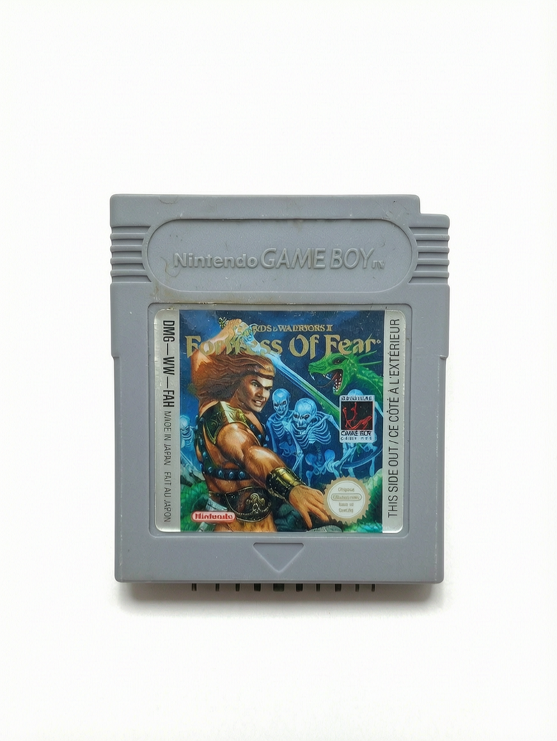 Fortress Of Fear : Wizards & Warriors X