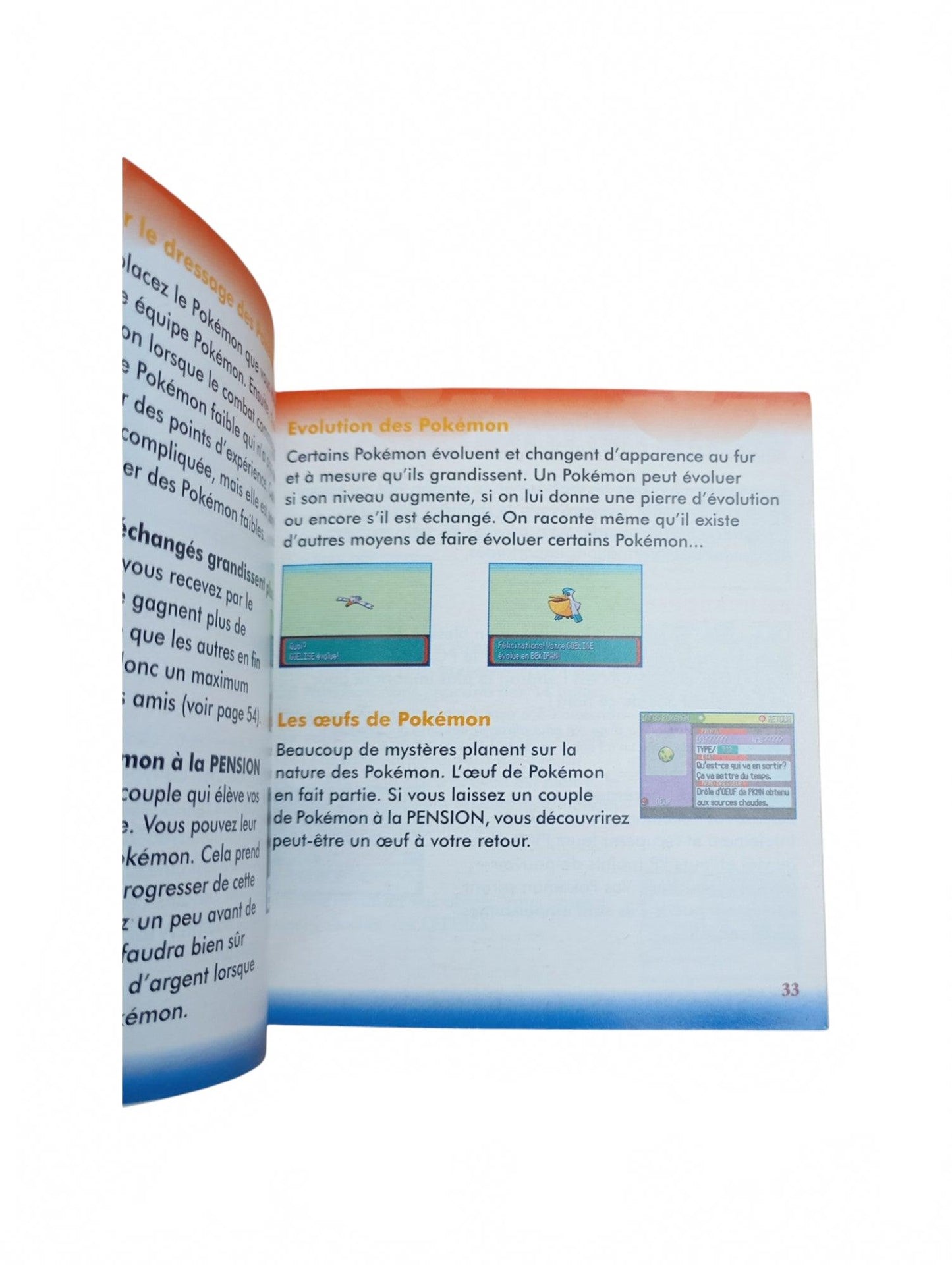 Notice Pokemon Rubis GameBoy Advance