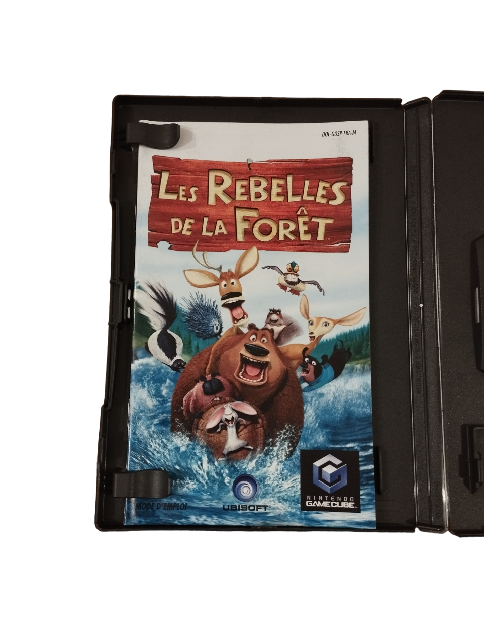 Les Rebelles de la Forêt