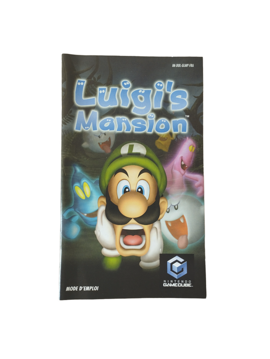 Notice Luigi's Mansion