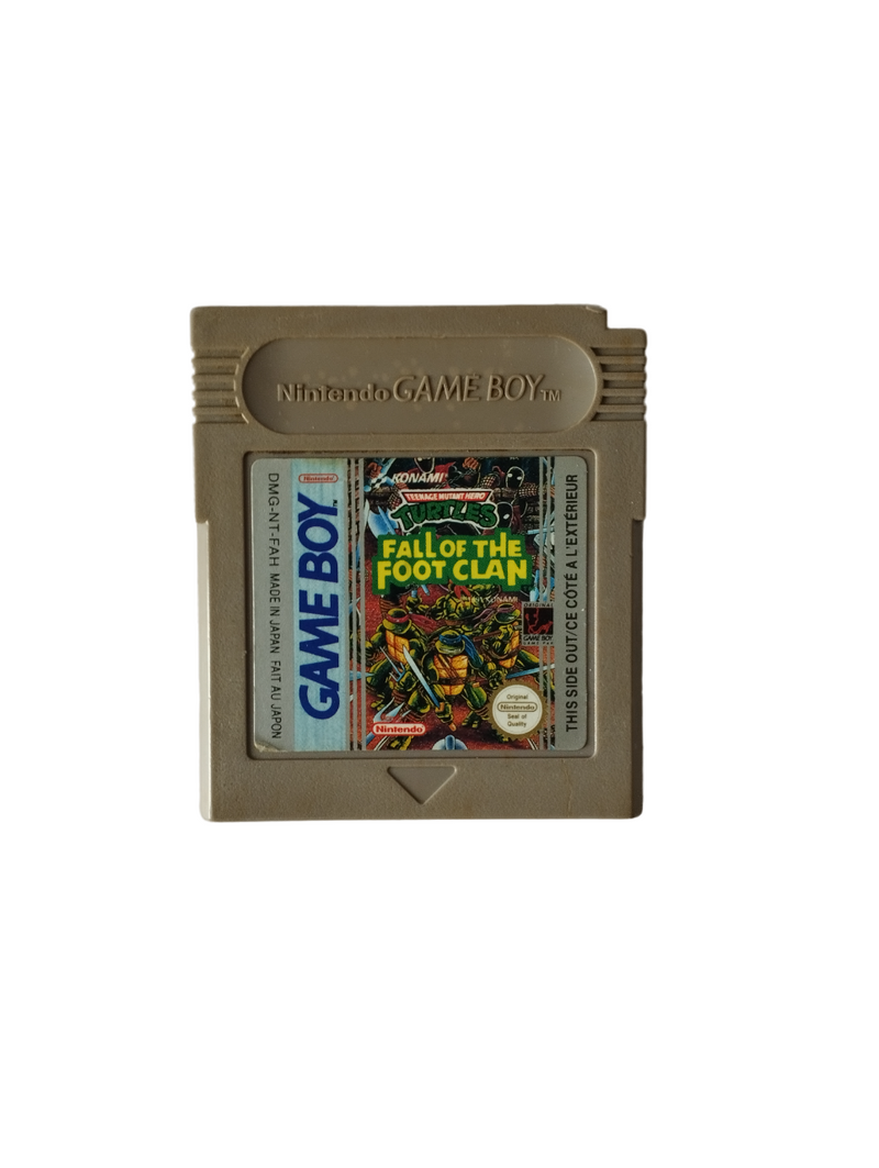 Teenage Mutant Ninja Turtles : Fall of the Foot Clan