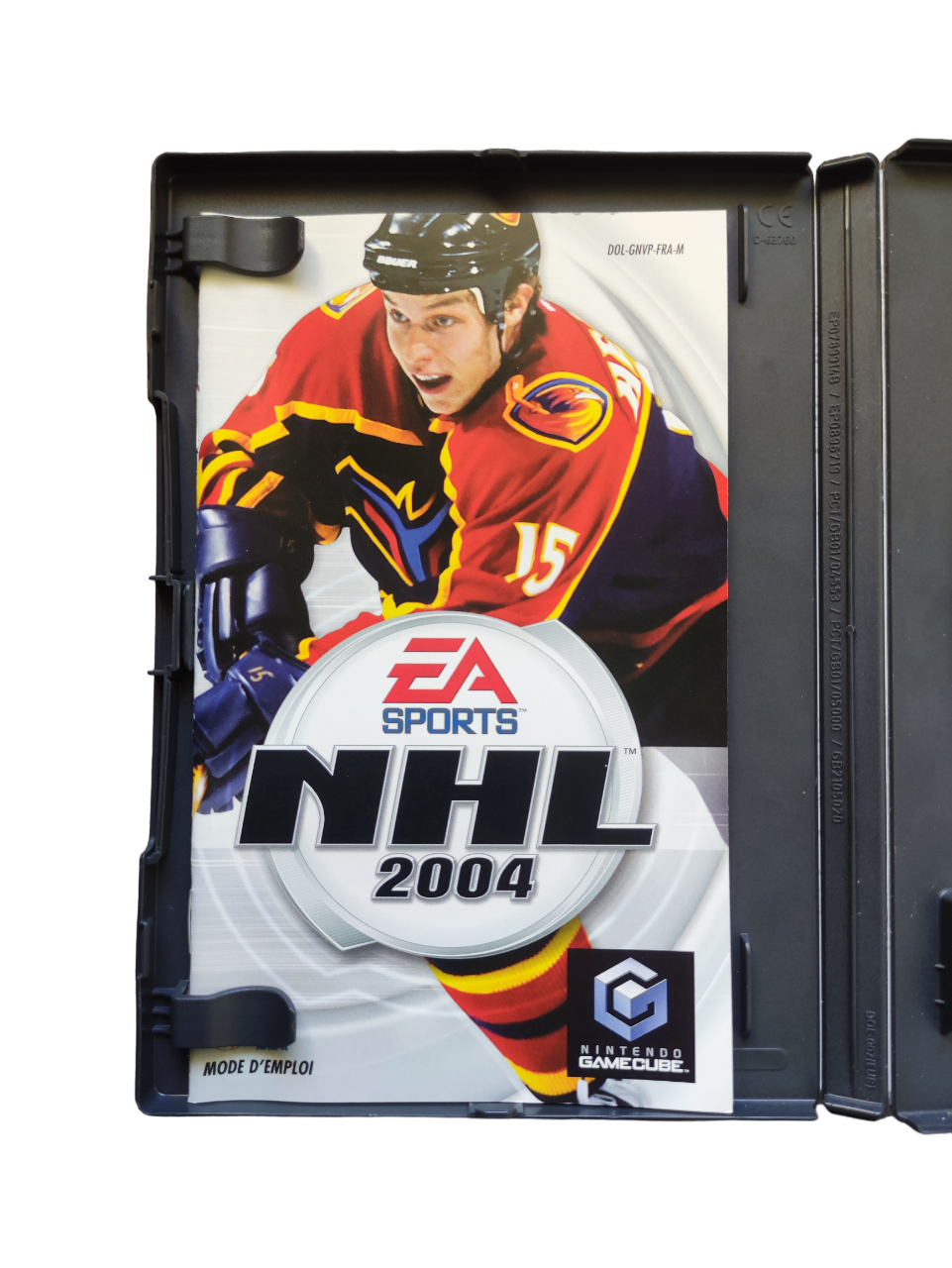 NHL 2004